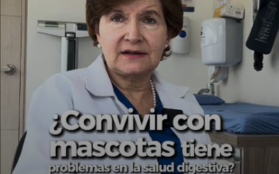 ¿Convivir con mascotas puede afectar la salud digestiva?